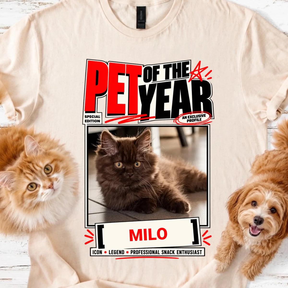 Pet of the year special edition - MeshMesh Customs